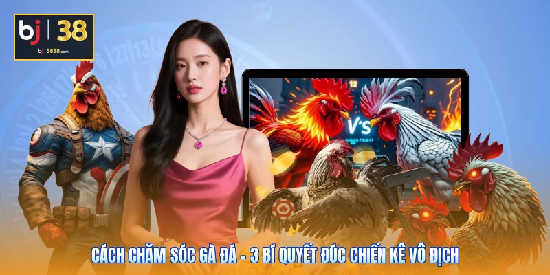 Cách Chăm Sóc Gà Đá - 3 Bí Quyết Đúc Chiến Kê Vô Địch 1 Cách Chăm Sóc Gà Đá - 3 Bí Quyết Đúc Chiến Kê Vô Địch