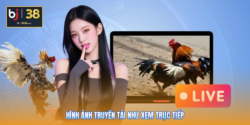 Sảnh Đá Gà BJ38 - Đột Phá Công Nghệ Live 4K, Thưởng Cực Cao 4 Hình ảnh truyền tải như xem trực tiếp