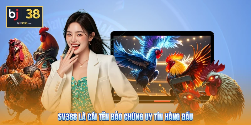 Đá Gà SV388 BJ38 - Sân Chơi Quy Tụ Các Chiến Kê Chất Lượng 6 SV388 là cái tên bảo chứng uy tín hàng đầu