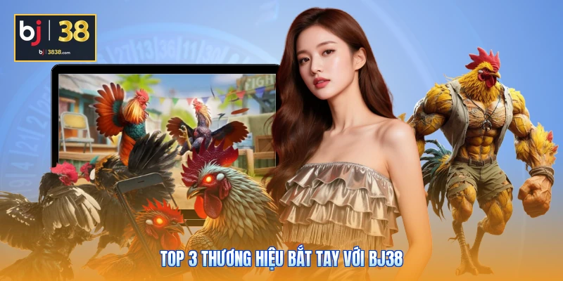 Sảnh Đá Gà BJ38 - Đột Phá Công Nghệ Live 4K, Thưởng Cực Cao 6 Top 3 thương hiệu bắt tay với BJ38