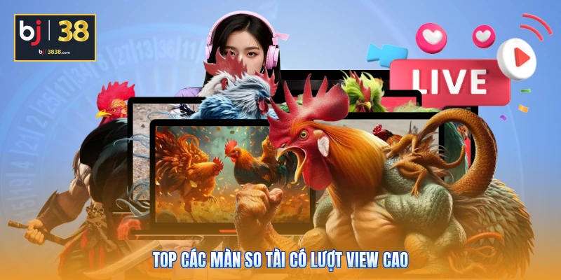 Đá Gà SV388 BJ38 - Sân Chơi Quy Tụ Các Chiến Kê Chất Lượng 4 Top các màn so tài có lượt view cao