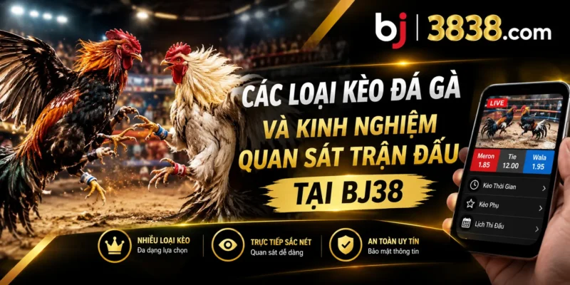Các loại kèo đá gà