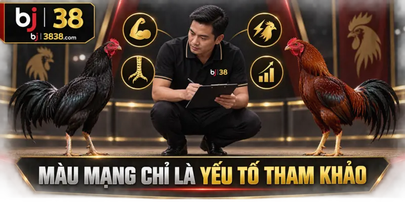 Màu Lông Gà Đá Và Ngũ Hành – Bí Quyết Từ Sư Kê BJ38 6 Thể trạng, chân cựa, phản xạ và phong độ vẫn là những dữ liệu quan trọng hơn màu mạng